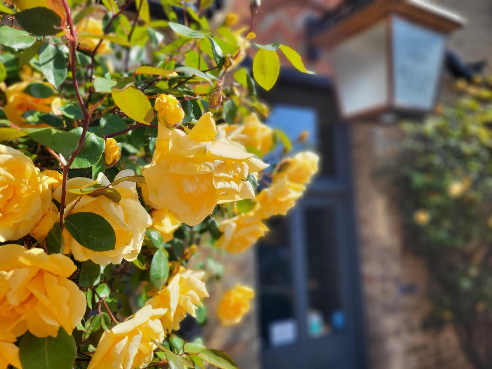 Belle Vue Guest House 丹佛 外观 照片