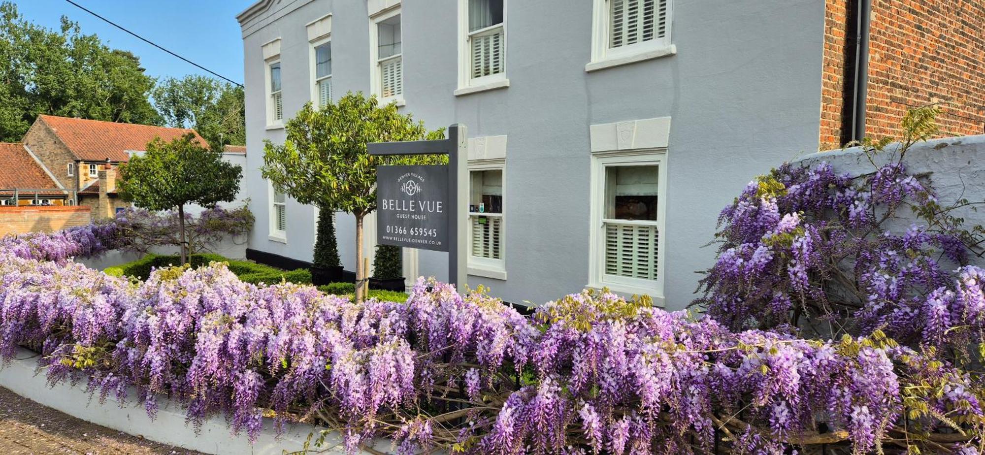 Belle Vue Guest House 丹佛 外观 照片